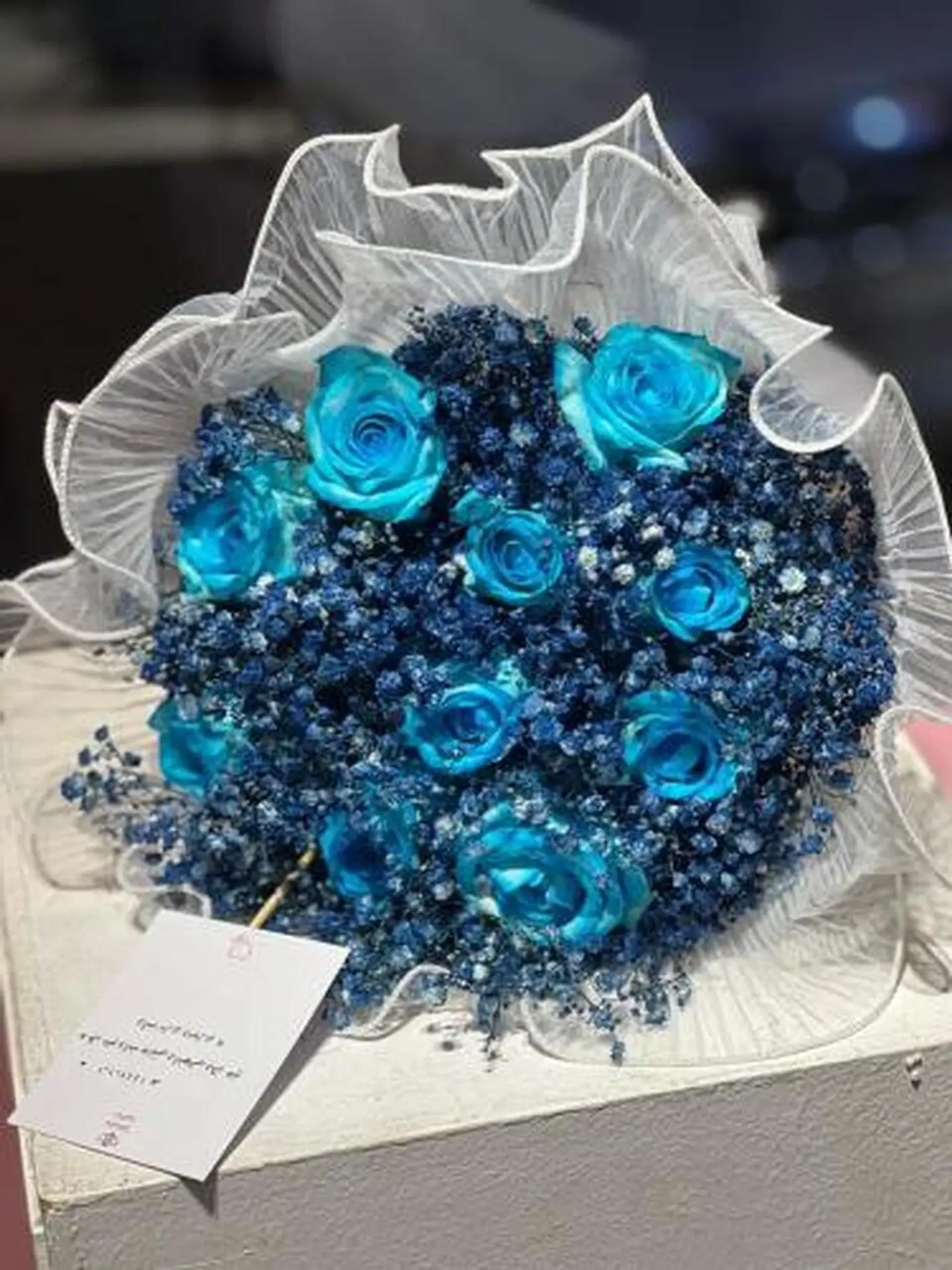 بوكي مولود شعرك الليل إذا أرخى ستوره.