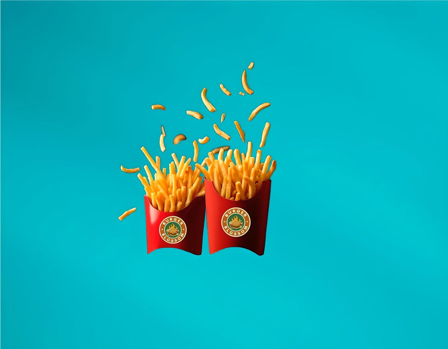 French Fries Medium