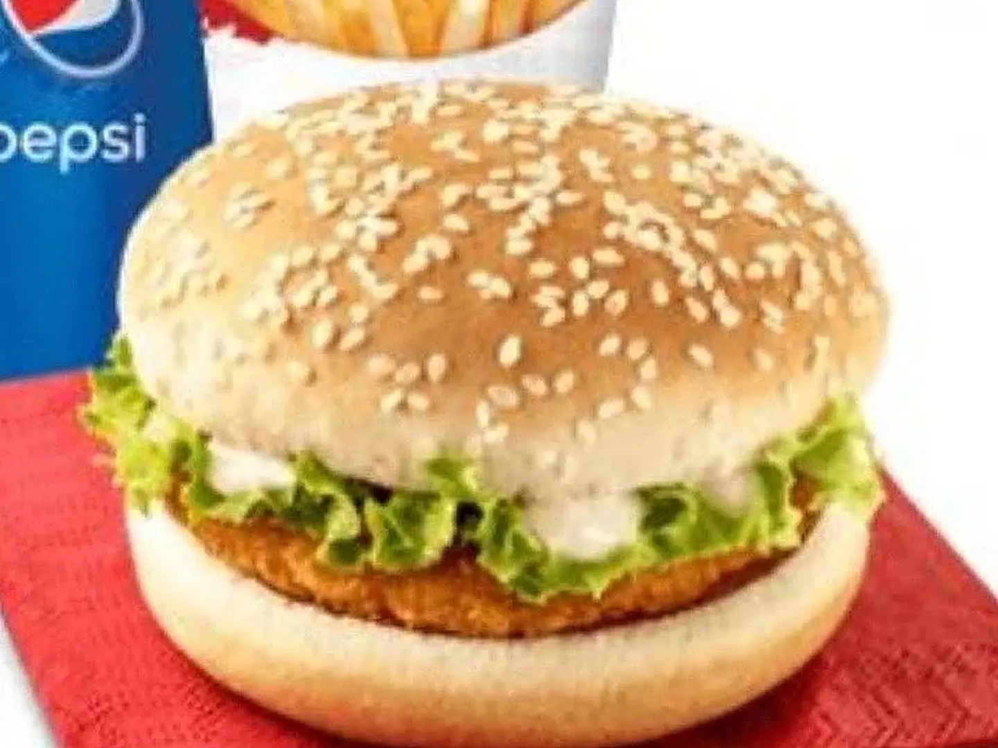 Beef Burger Meal