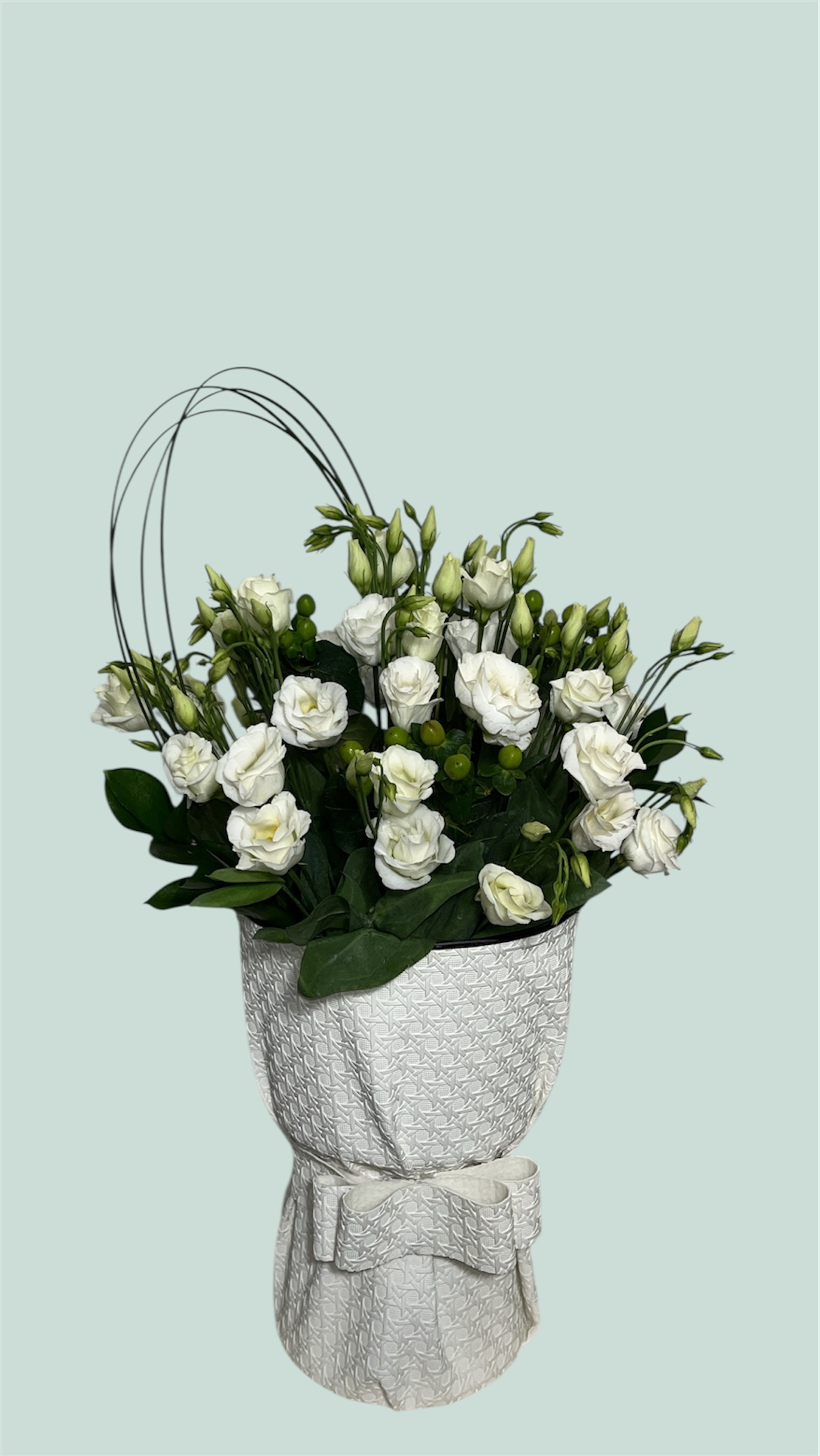 باقة الحياة