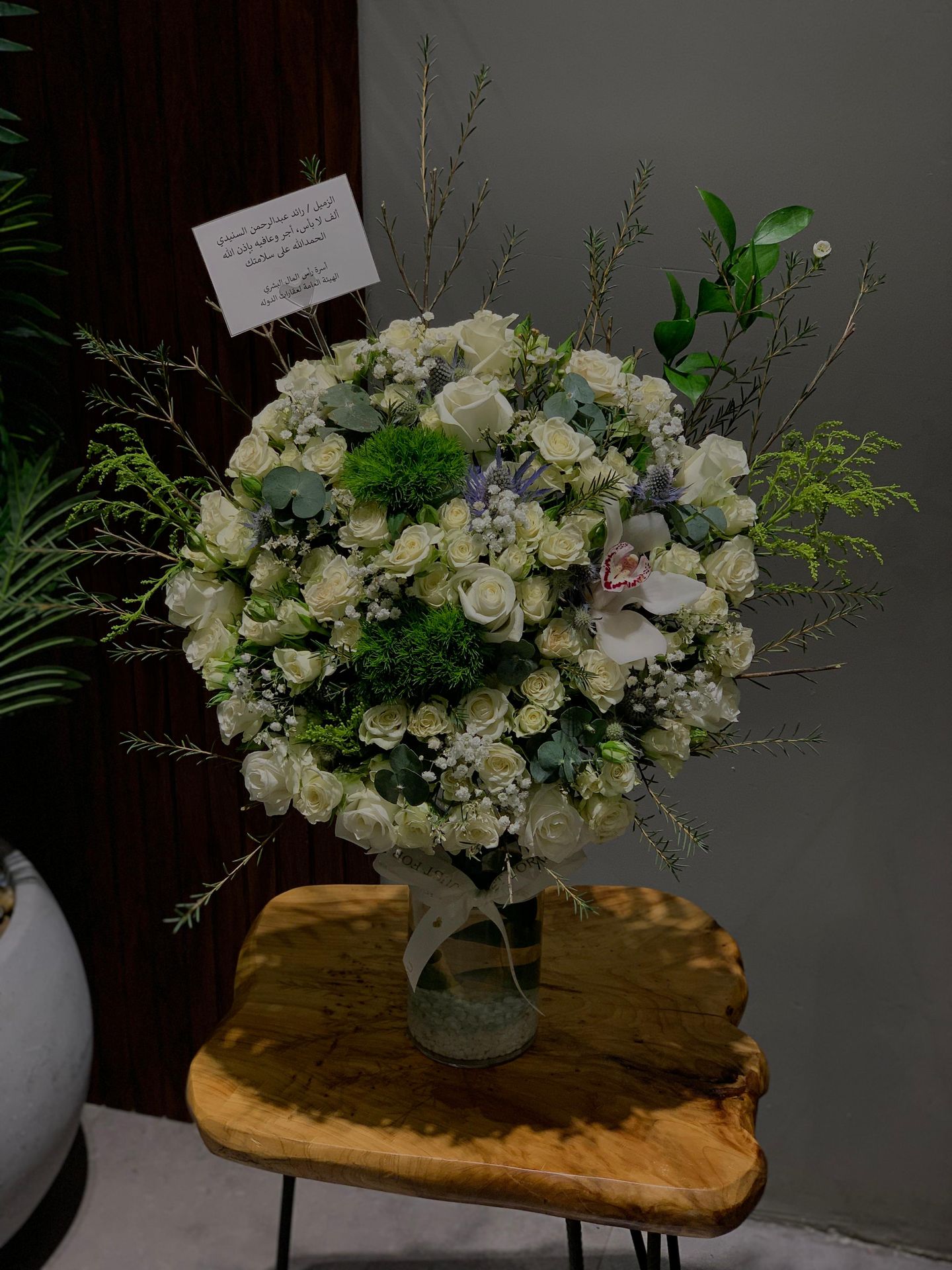 فازة 6
