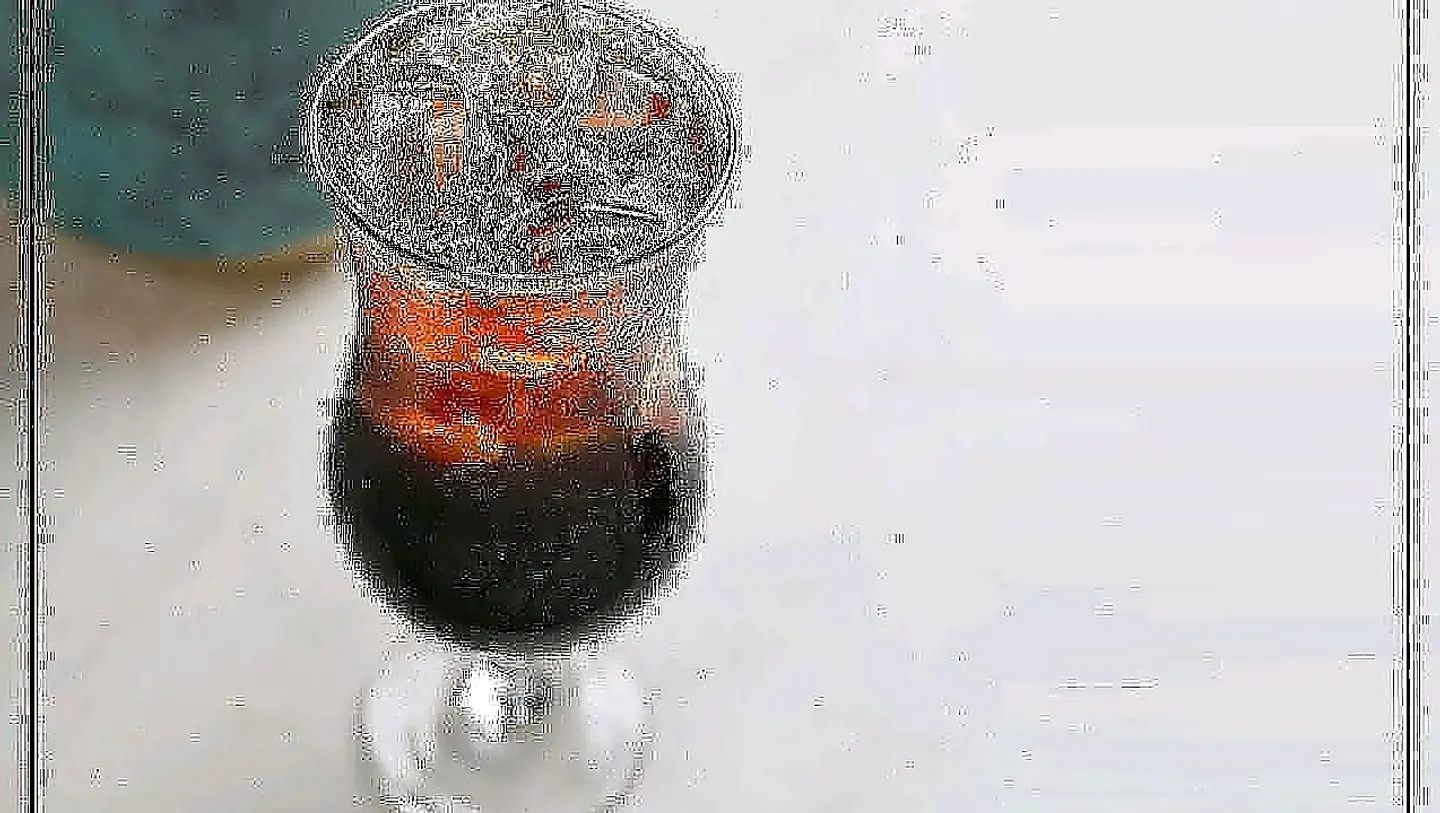 موهيتو فيمتو