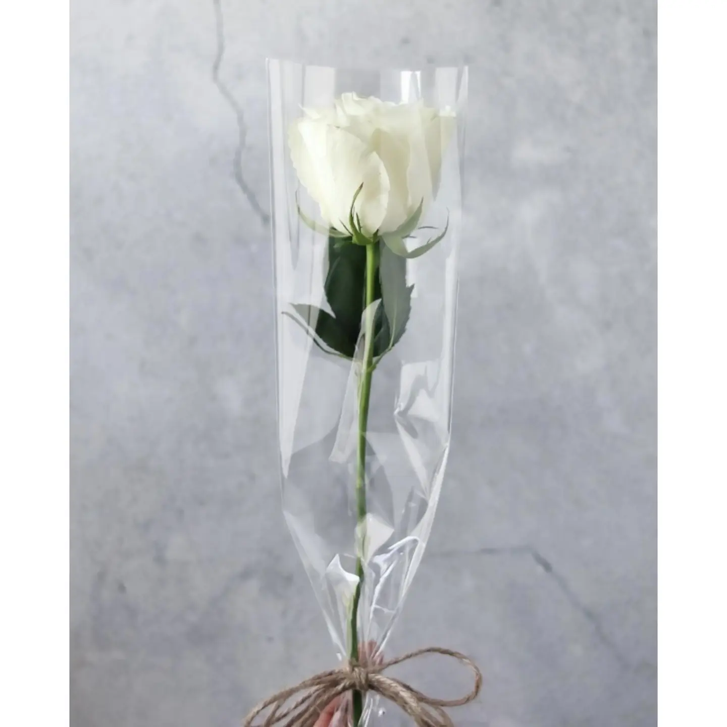 وردة جوري ابيض