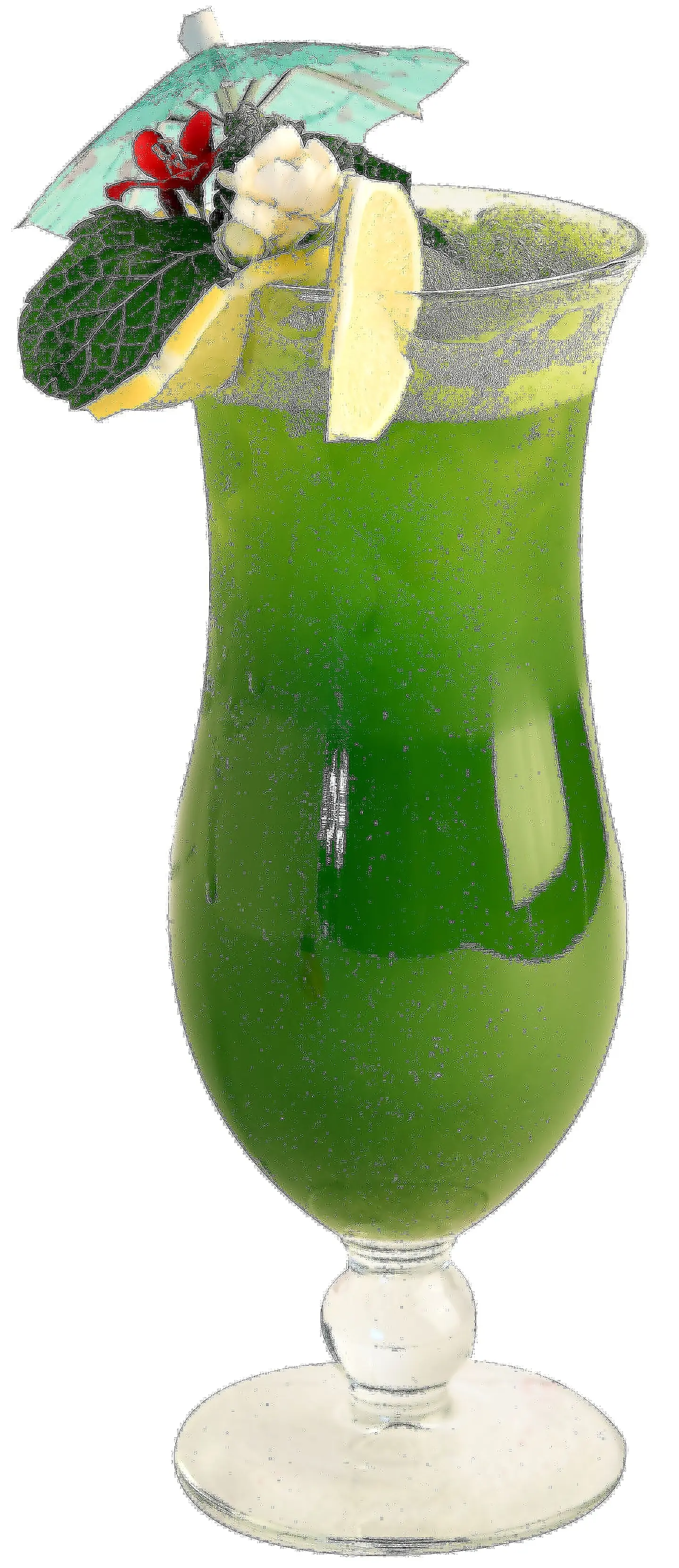 Lemon Mint Mojito