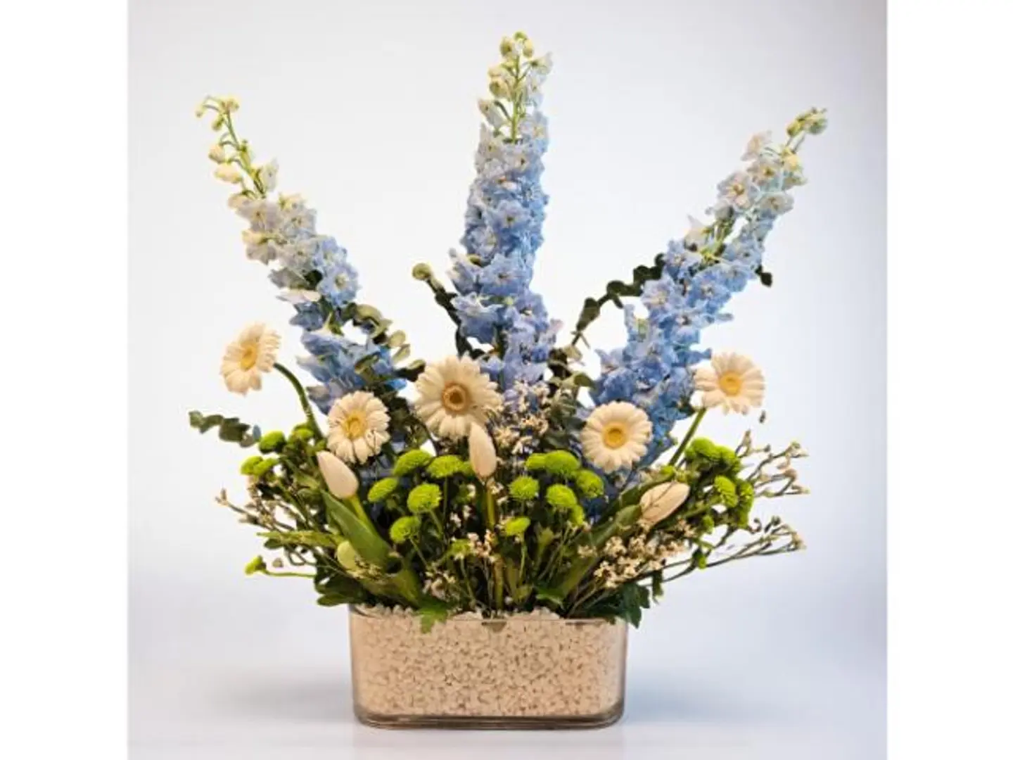 فازه ورد فريش هورايزن