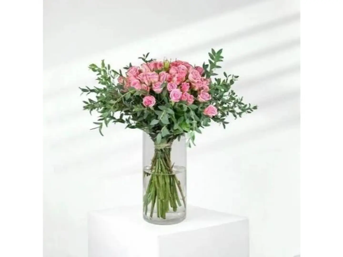 Faza My Sorrows Stopped The Moment I Met You And My Life Became Joyful