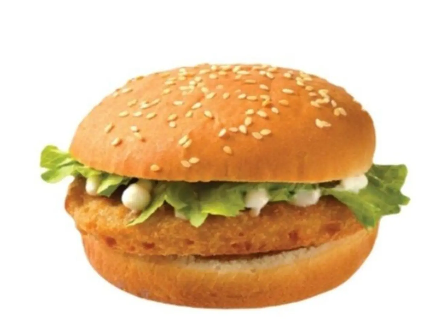 Chicken Burger Big