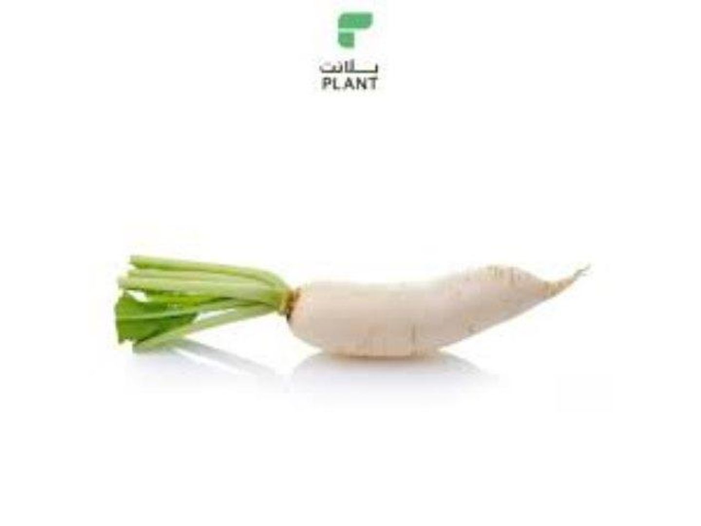 Radish White