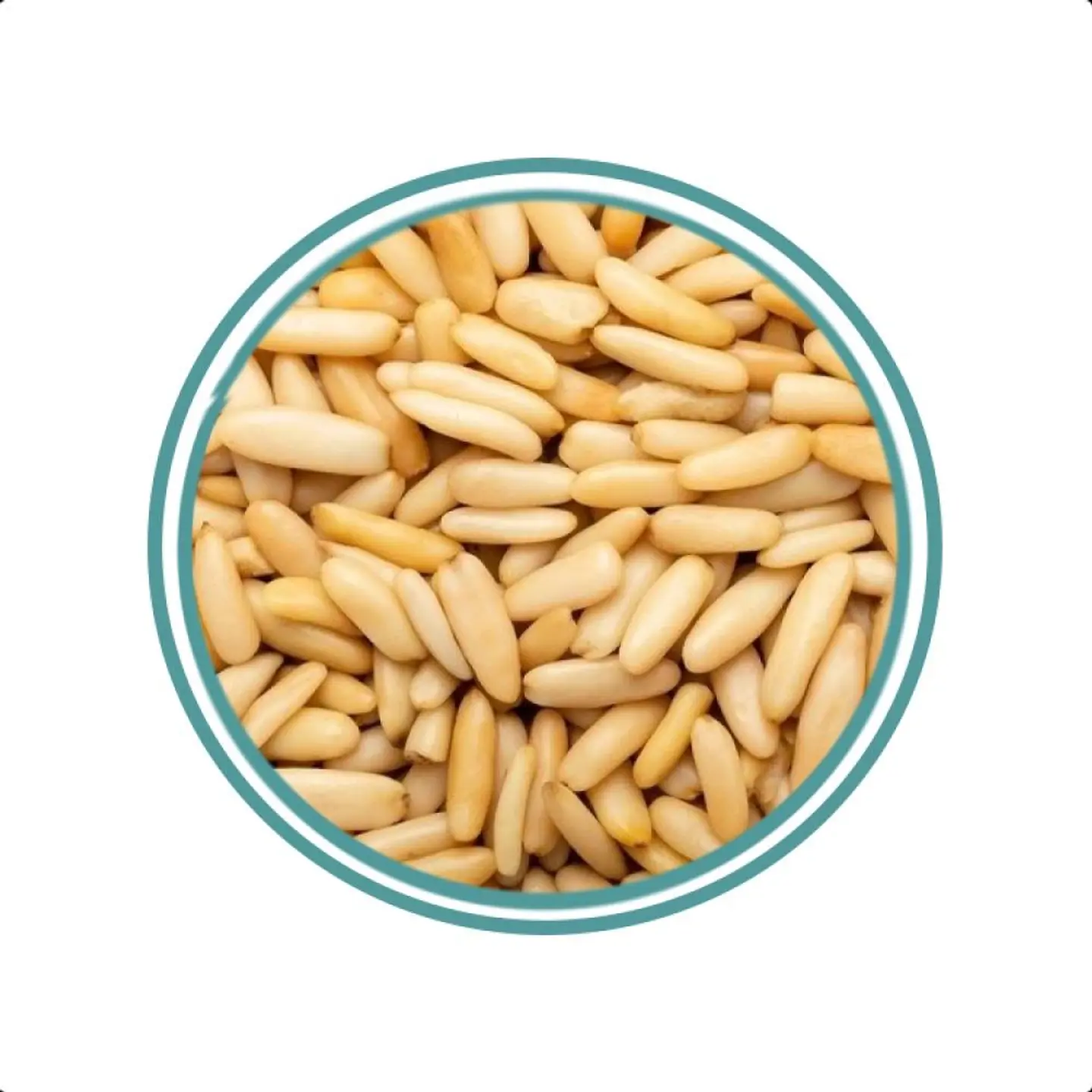Pine Nuts