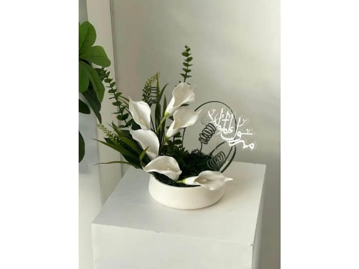 فازة موليد الحبه