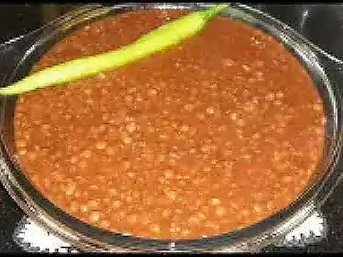 عدس مخصوص