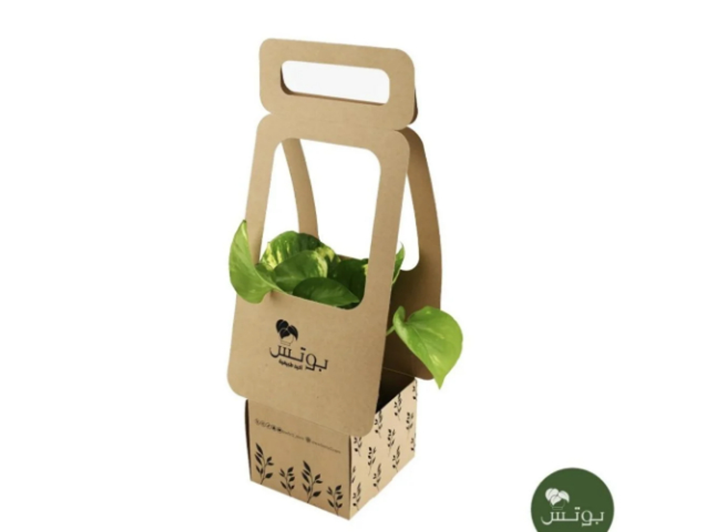 29 Box Plant In A Brown Box