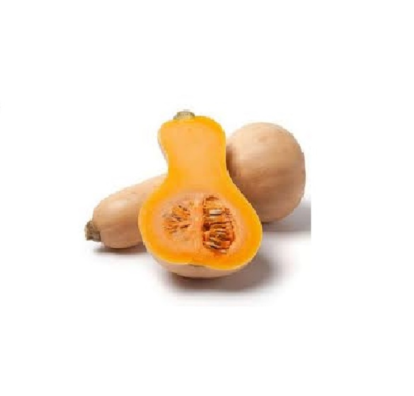 قرع اصفر  - قرع اصفر