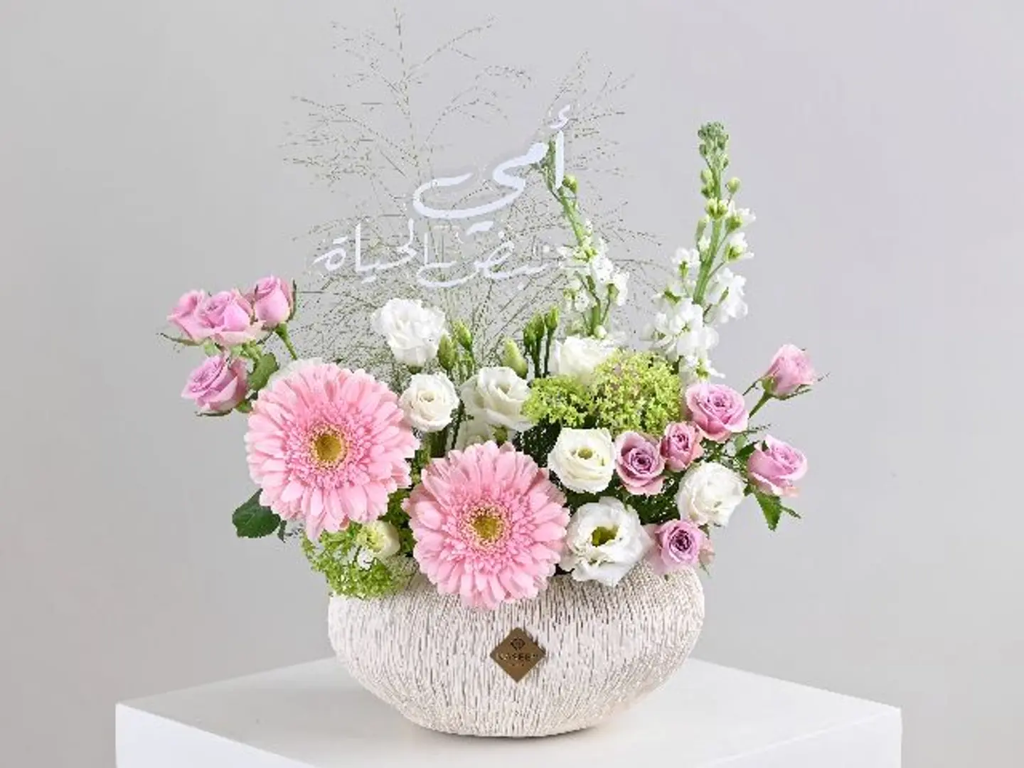 بسمة الحياة