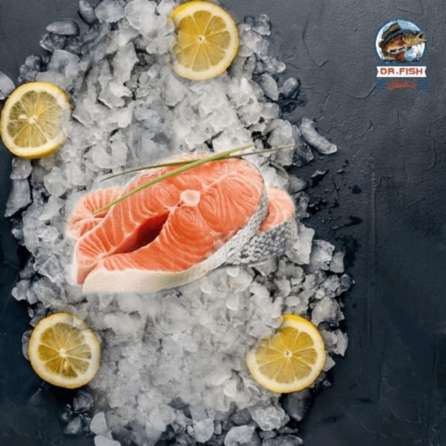 Salmon 300 Gram