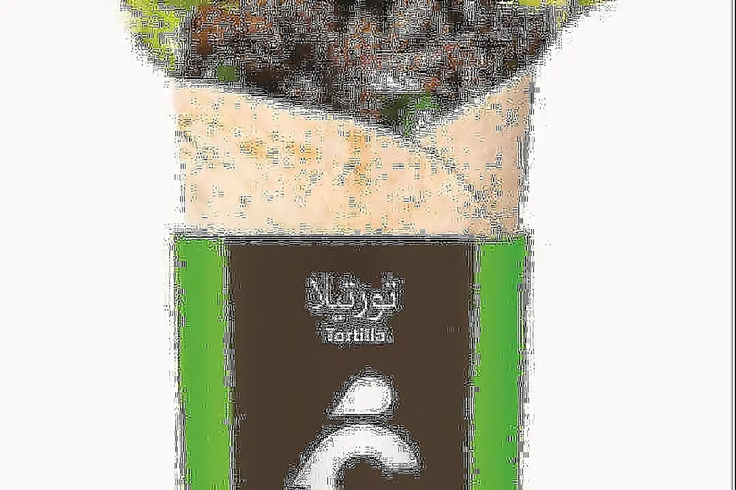 تورتيلا لحم بقر
