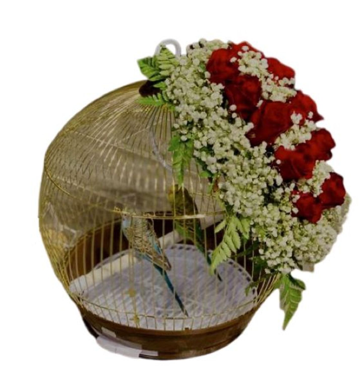 قفص عصفور الحب صغير