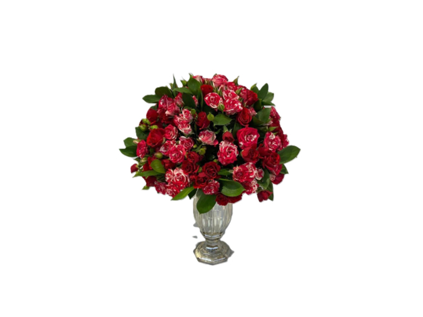 Mixed Baby Gypsy Vase