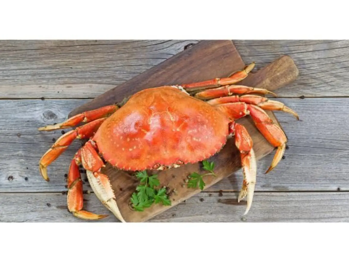 Crab