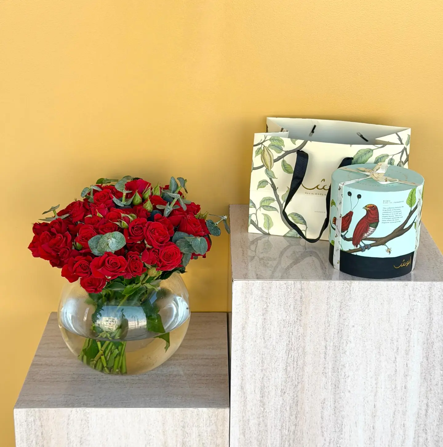 شوكليت انوش مع فازة دايري احمر