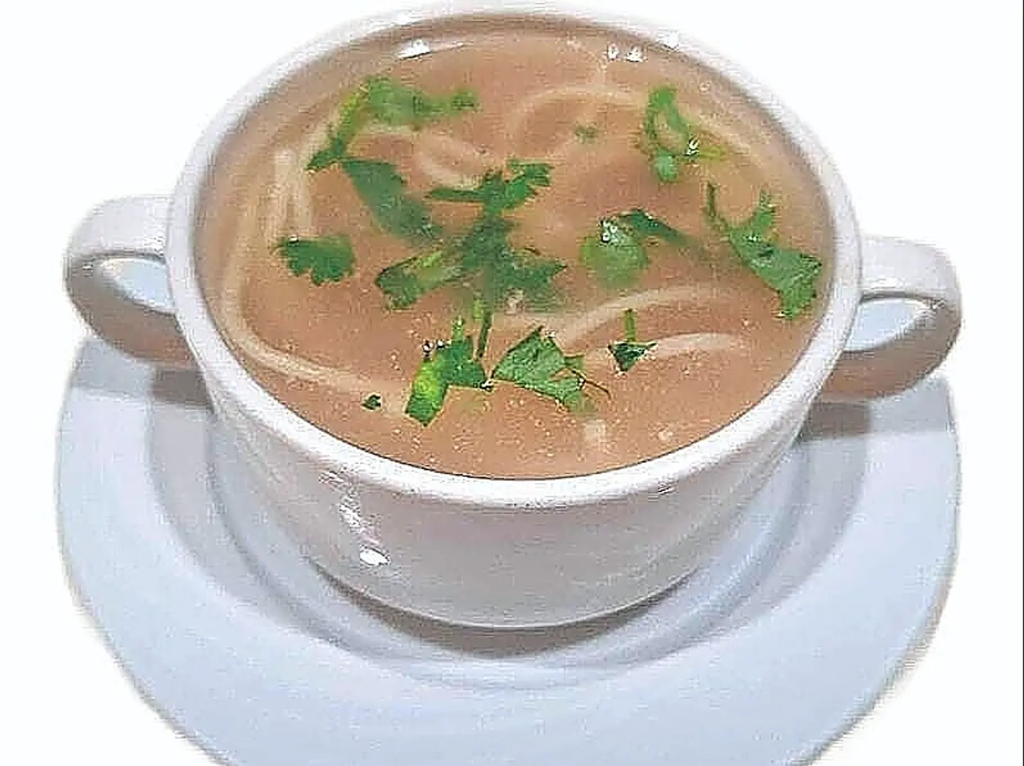 Chicken Noodles Soup