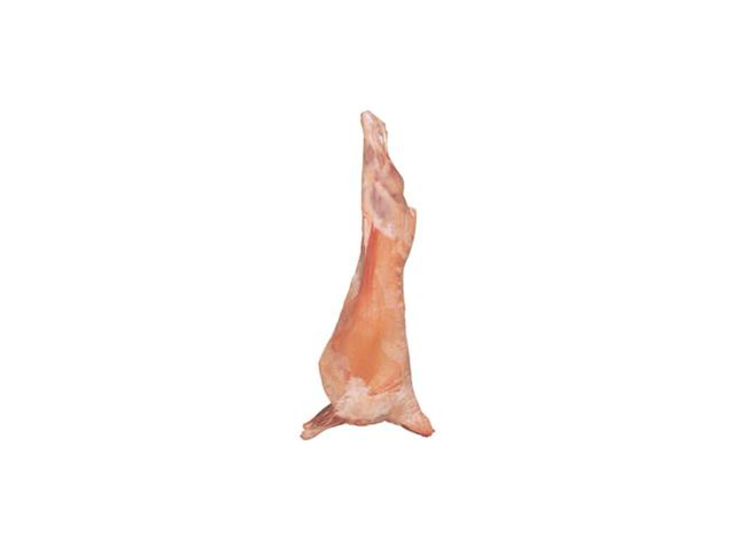 Whole Naeimi Lamb Without Tail Fat And Head
