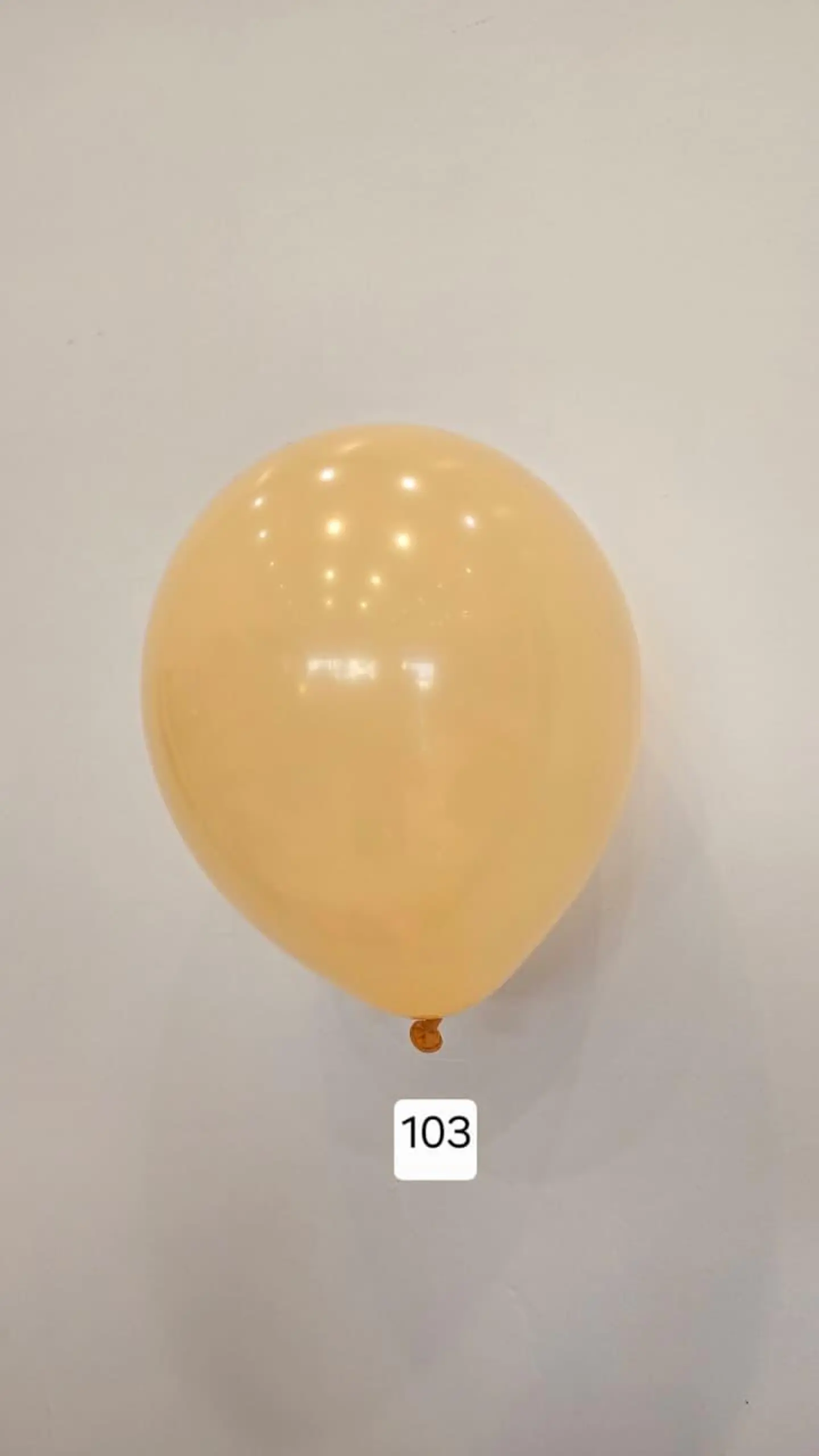 Balloon Number 103