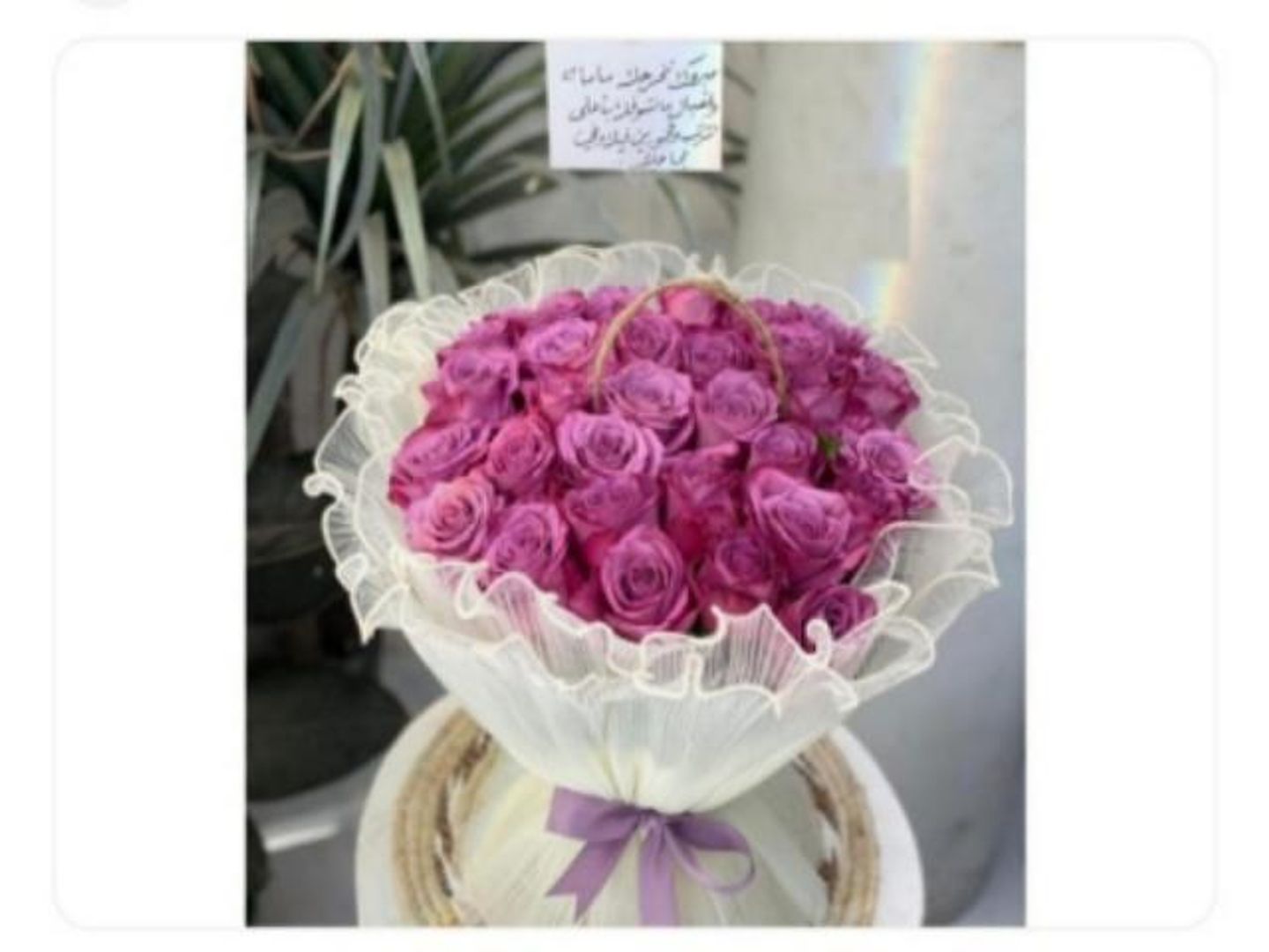 موف