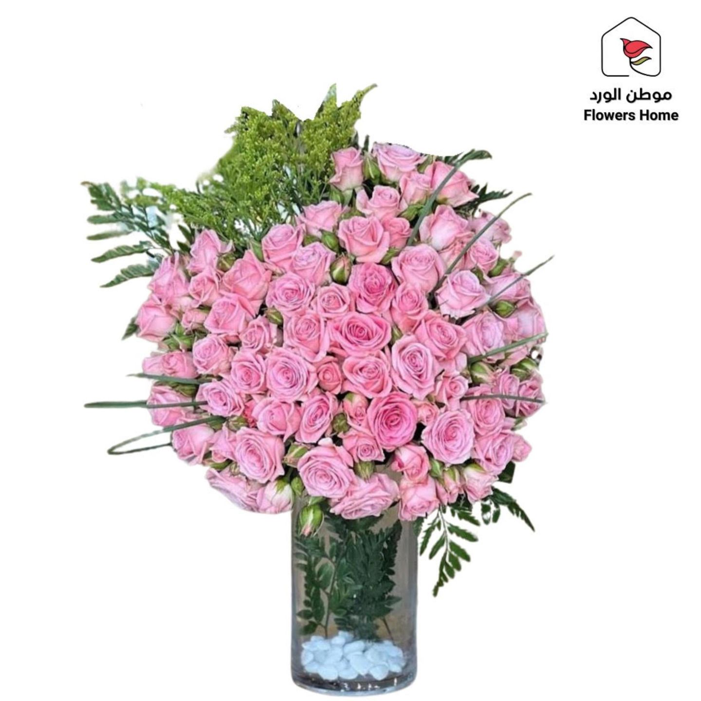 فازة 4