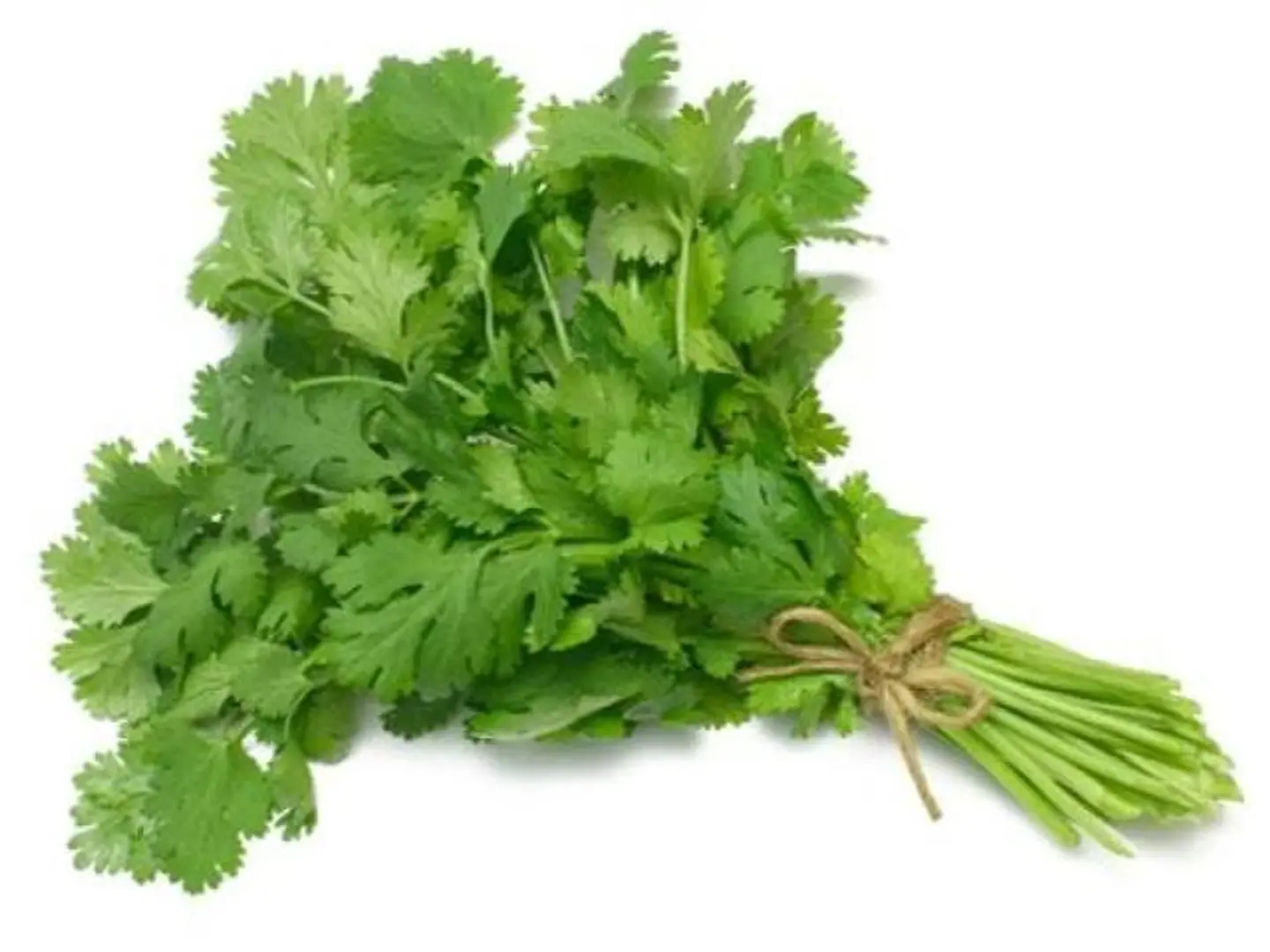 Parsley
