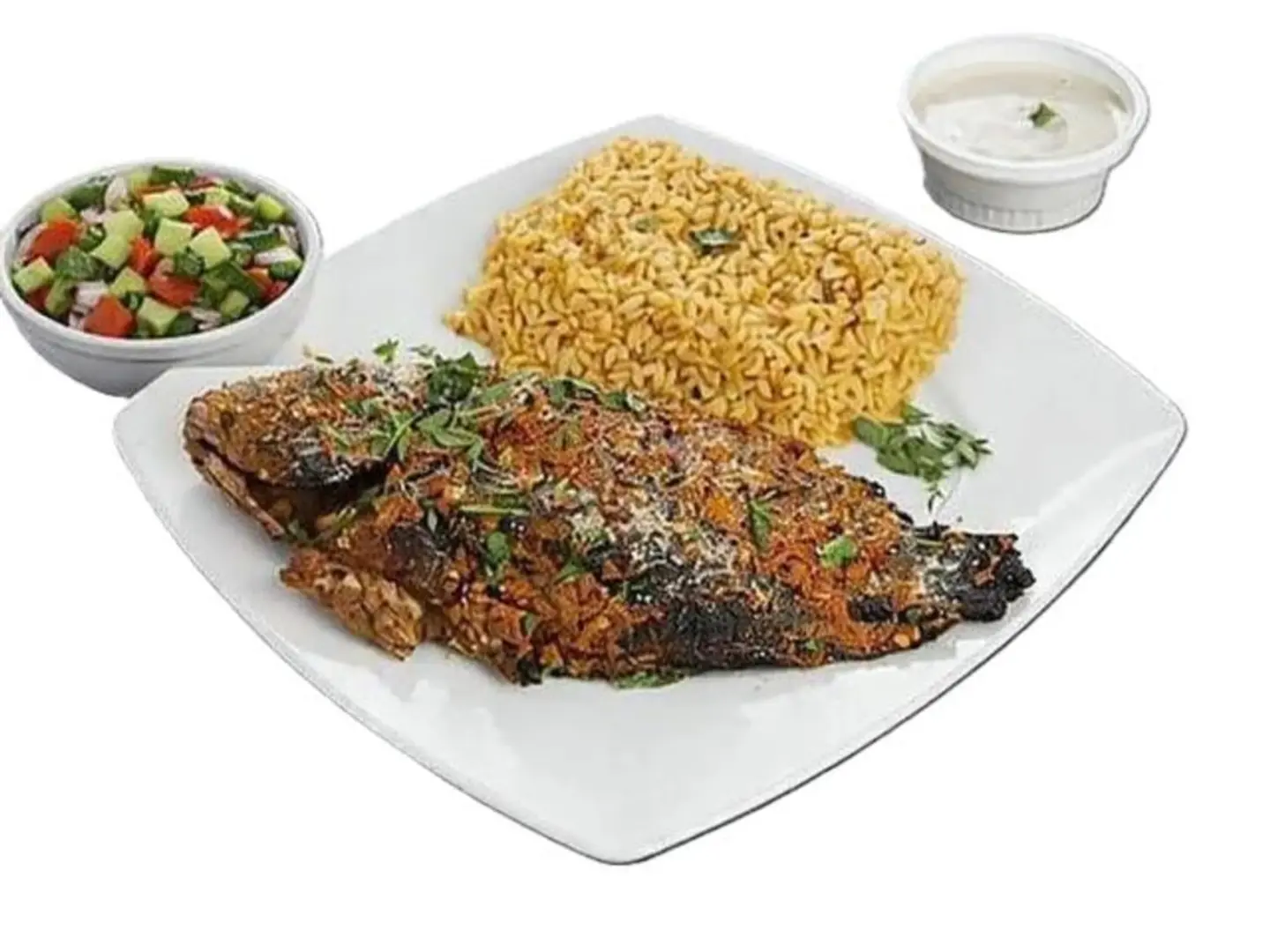 Tilapia Meal