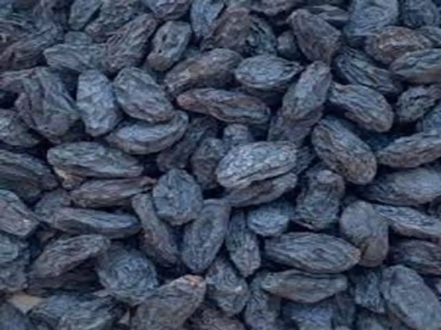 Black Yemeni Raisins