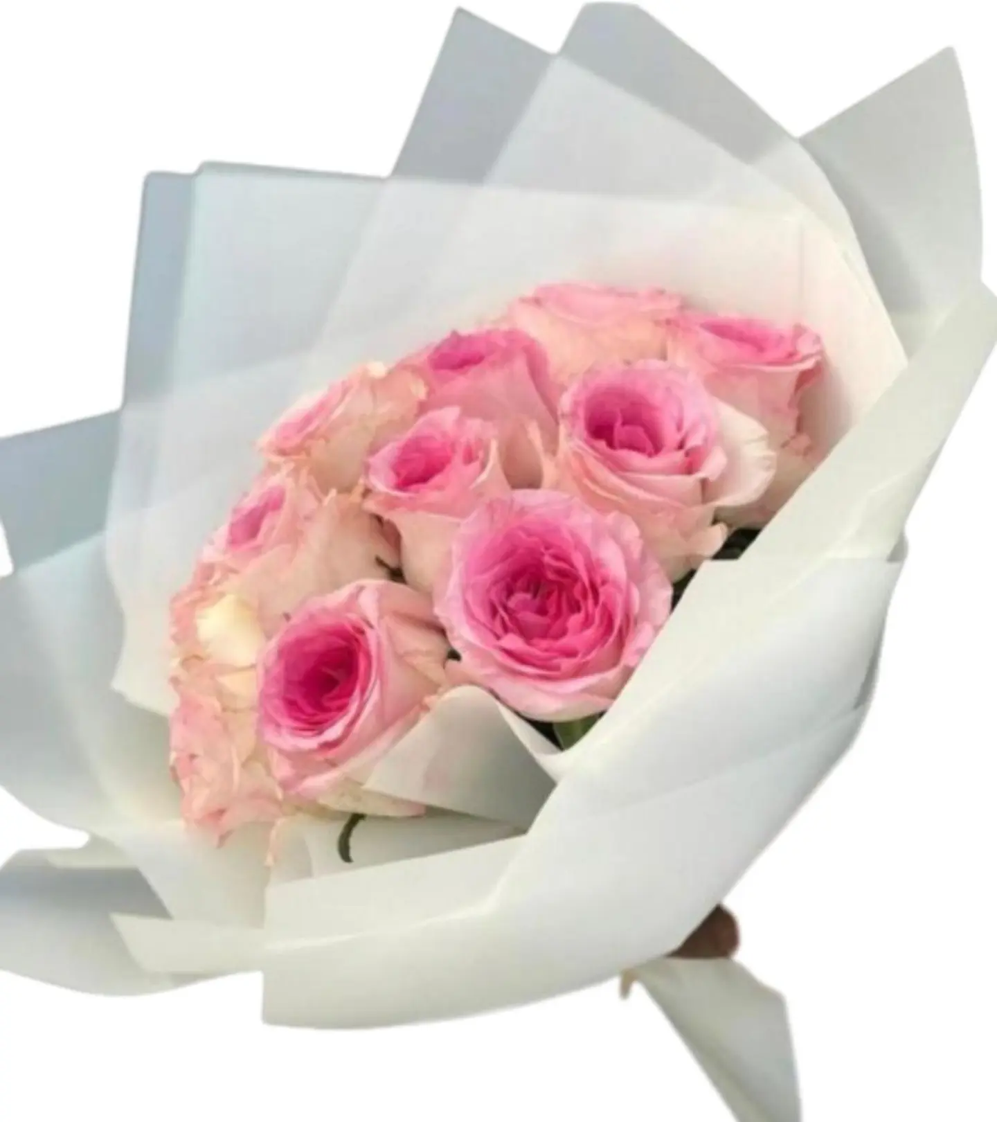 أحلى بنوته 2