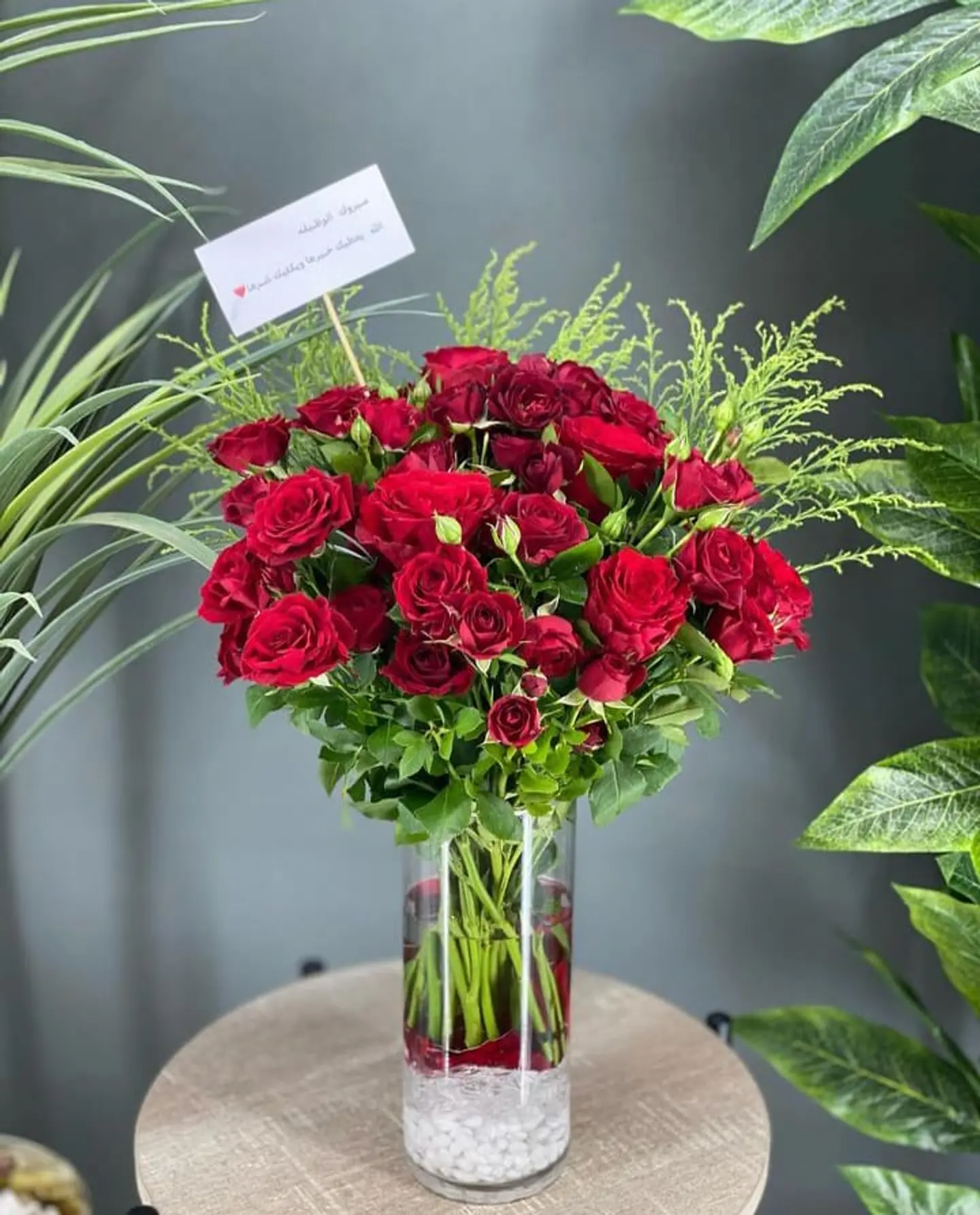 فازه الأحمر