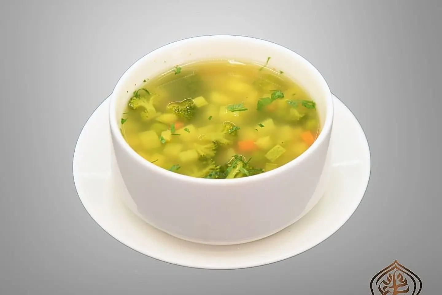 Healthy Veggie Soup