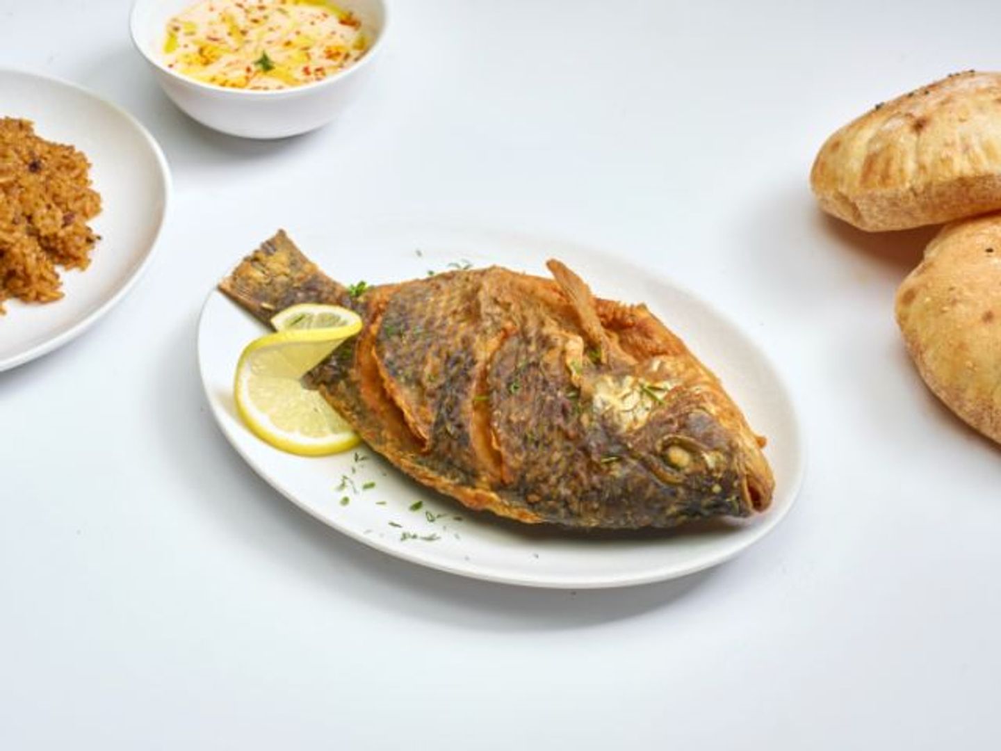 Tilapia