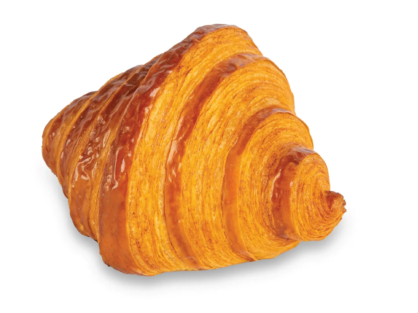 Plain Croissant