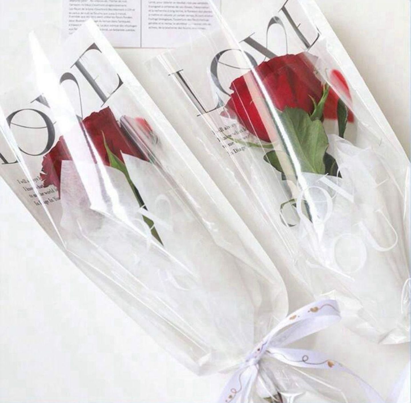 Valentine's Day One Rose V3