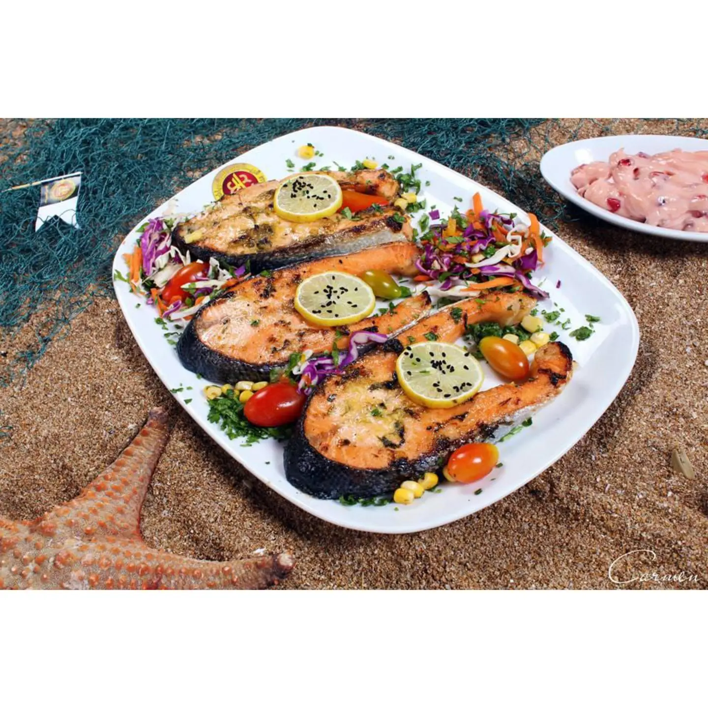 Salmon