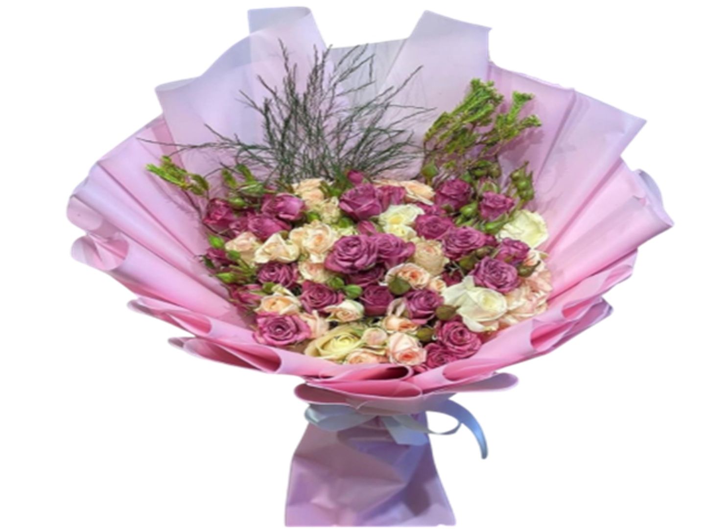 Layal
