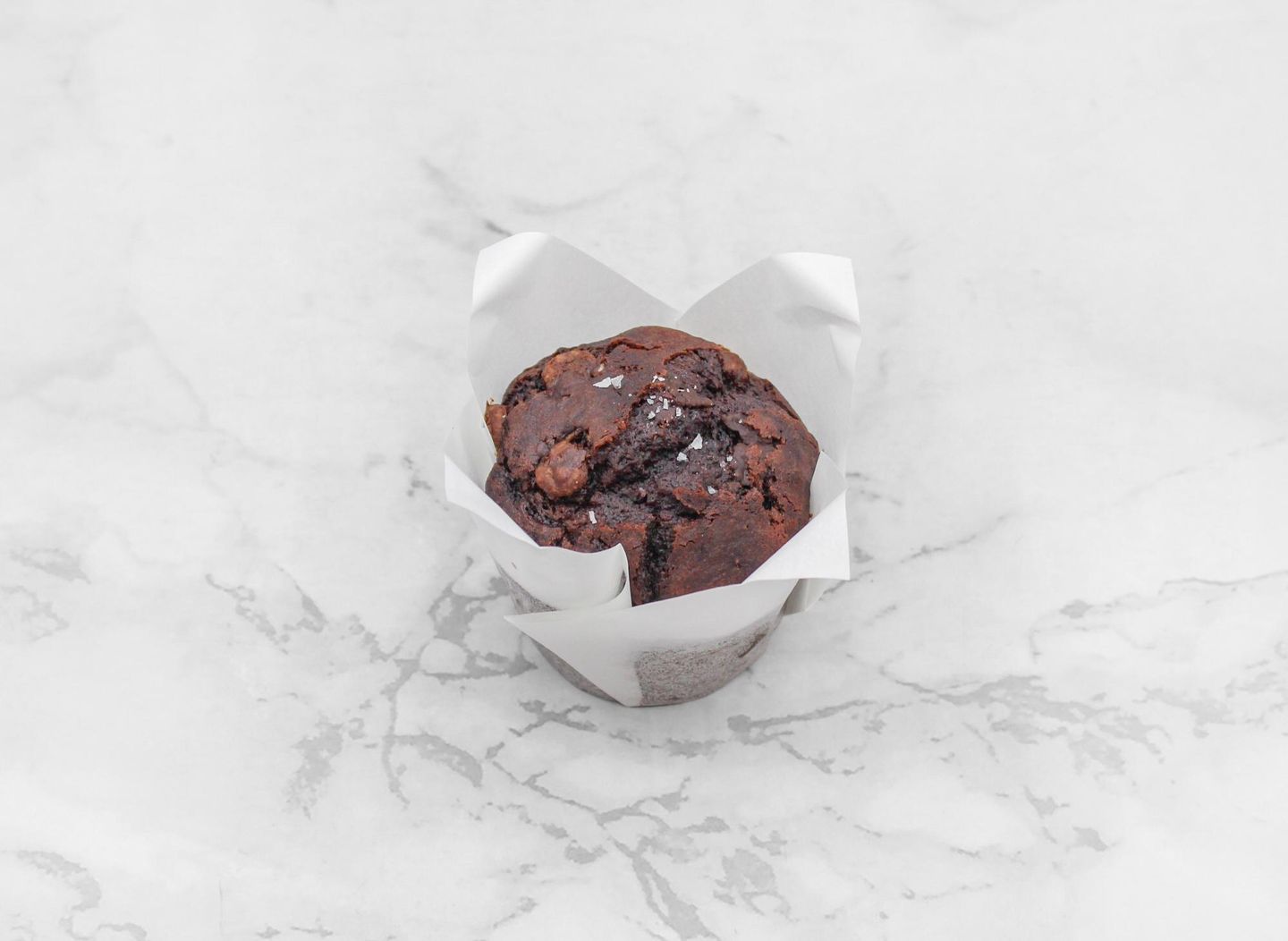 Chocolate Muffin