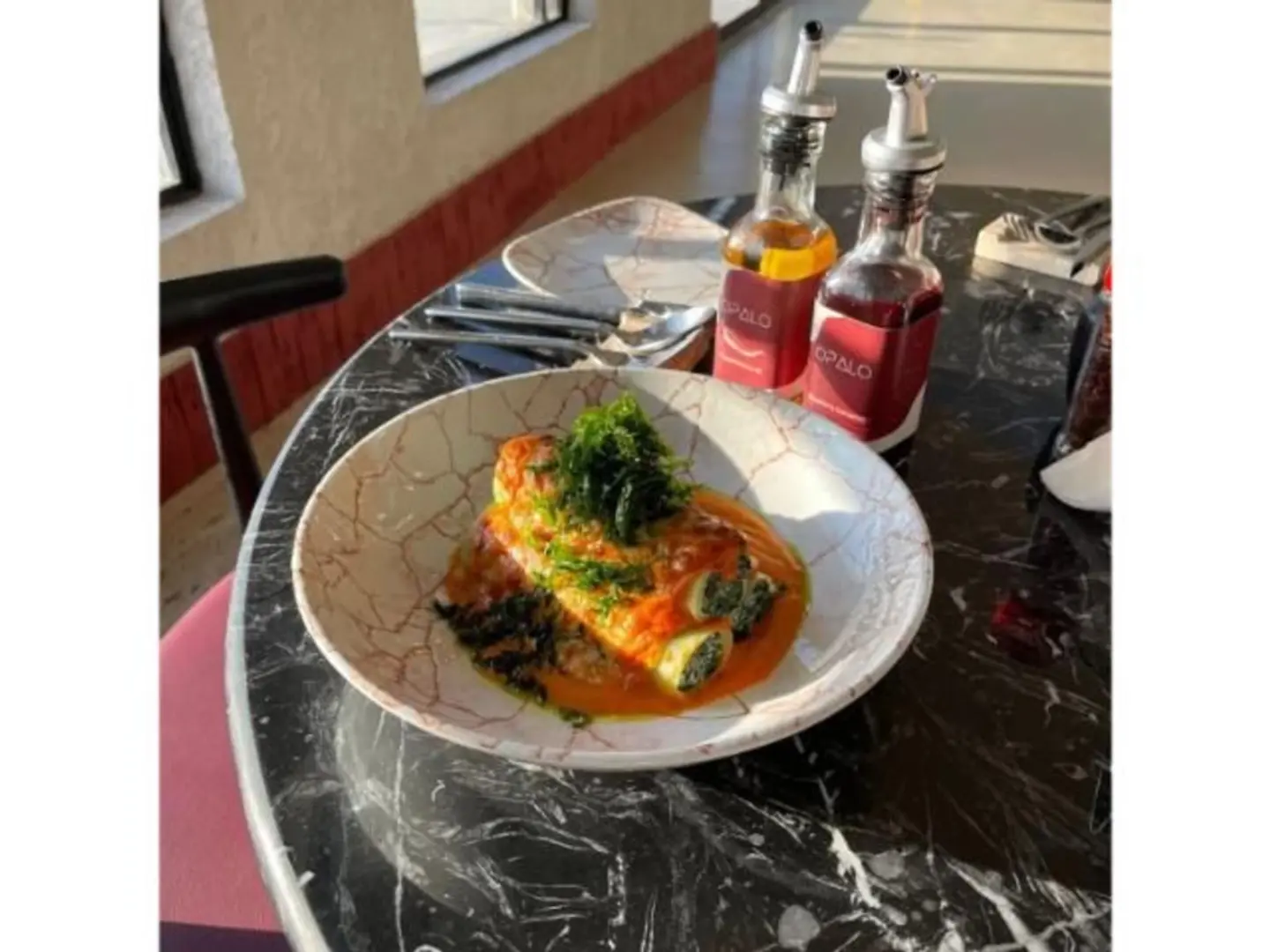 سبانيش ريكوتا