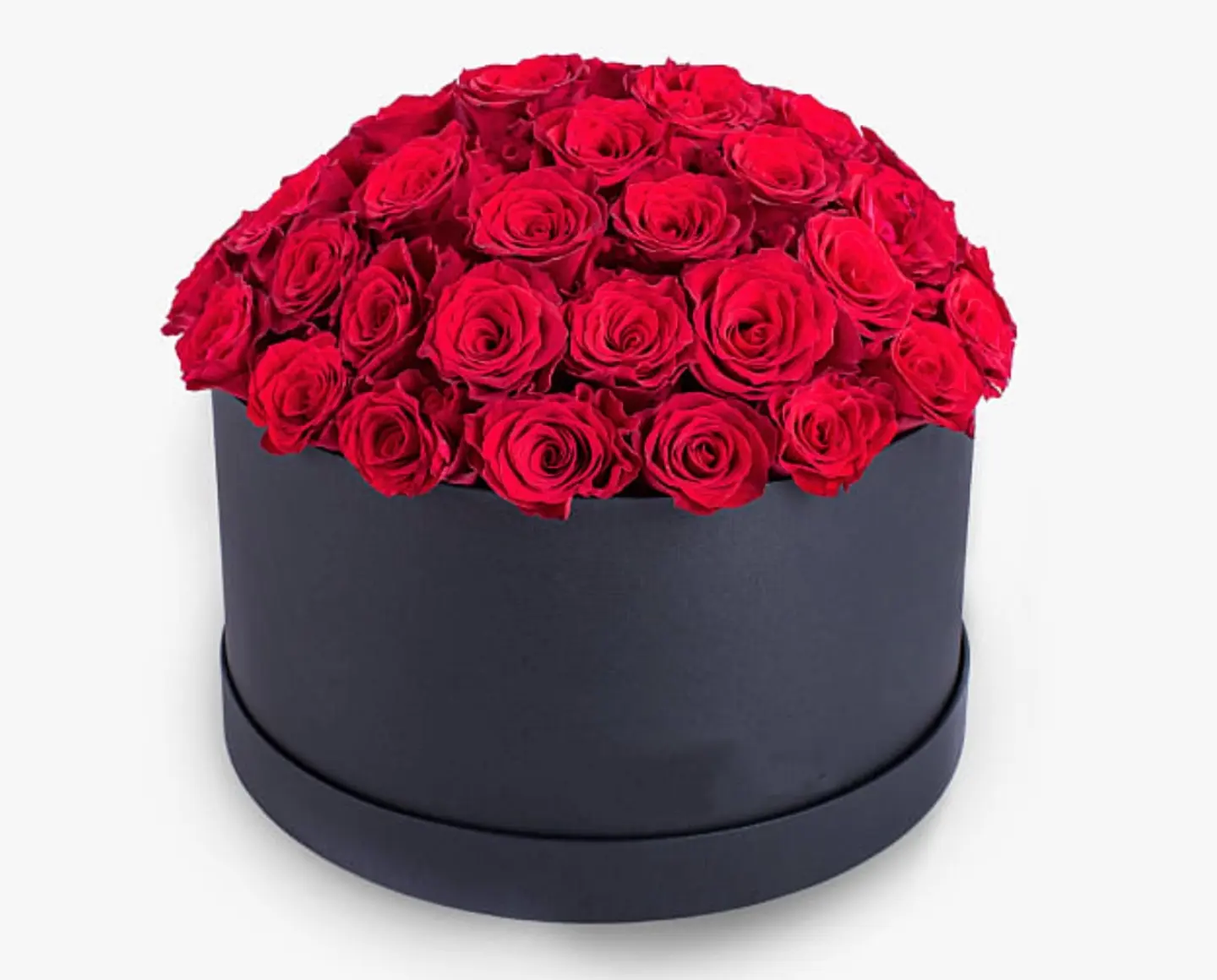 Red Rose B2