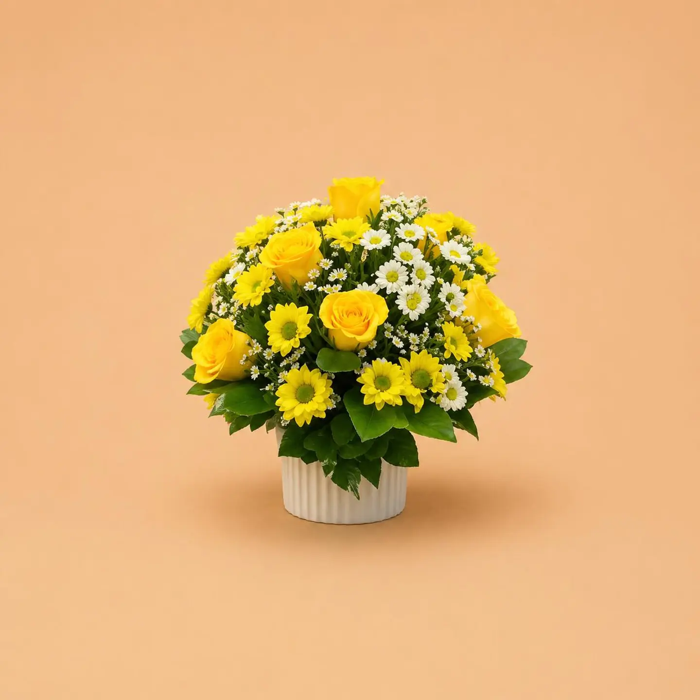 Chrysanthemum Glow