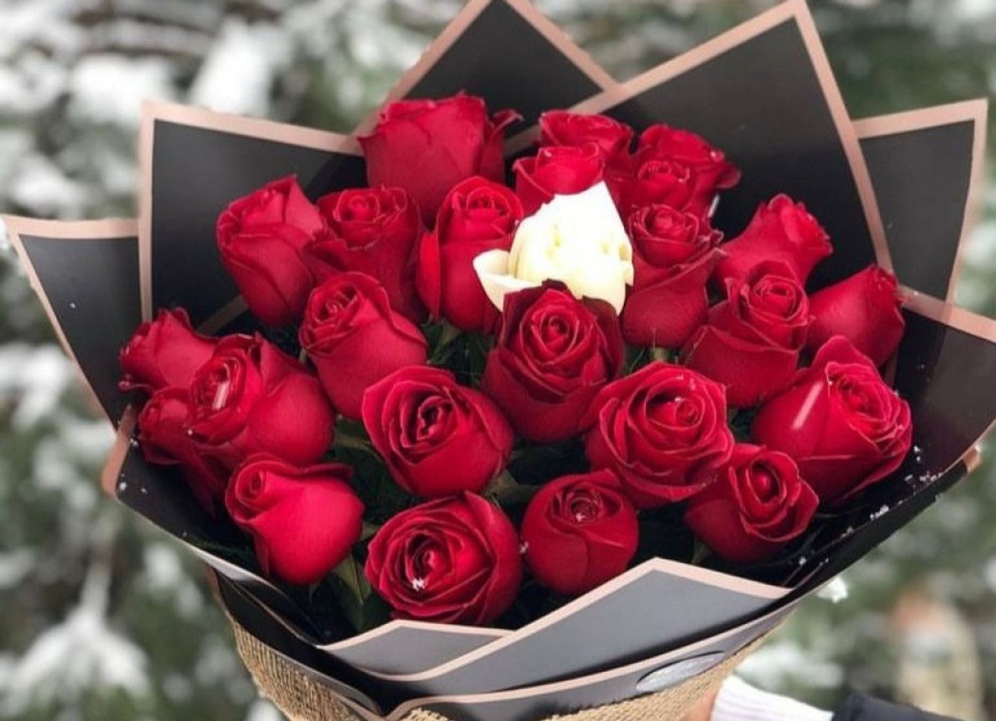 لايشبهك احد