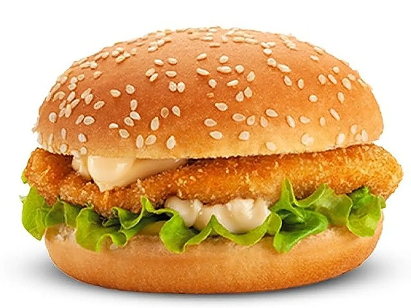 Chicken Burger