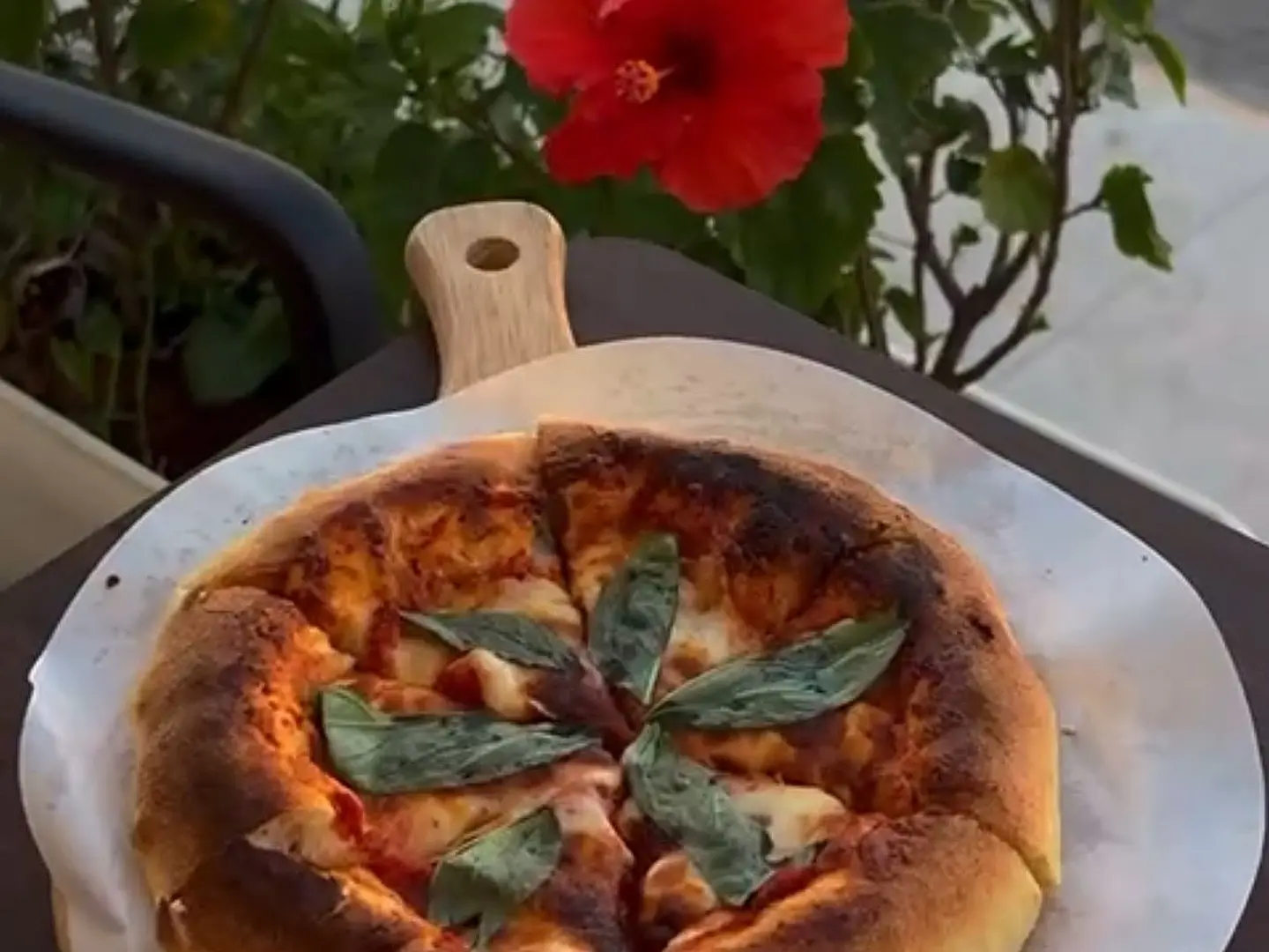 Margherita Pizza