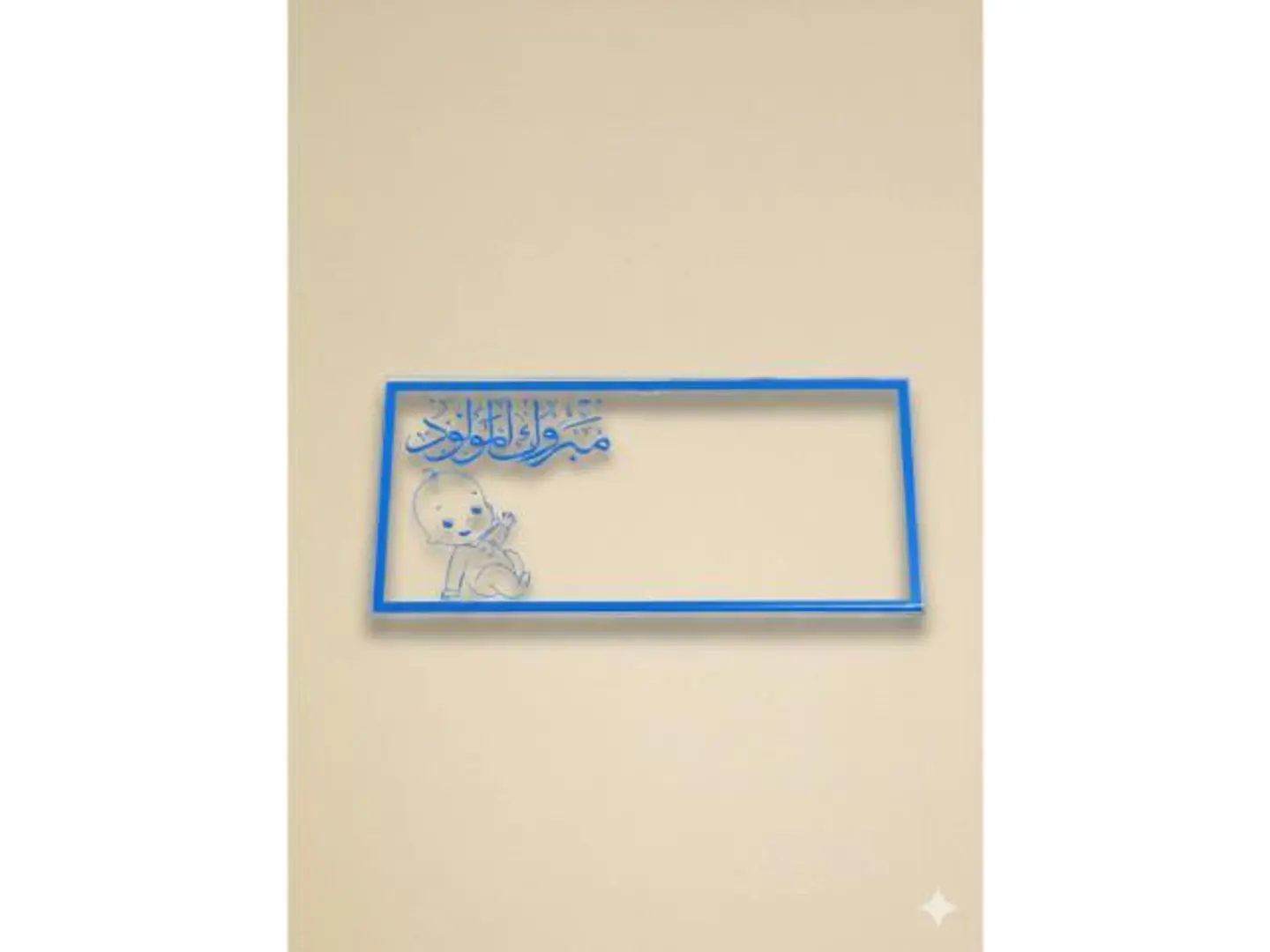 ظرف حامل فلوس مولود