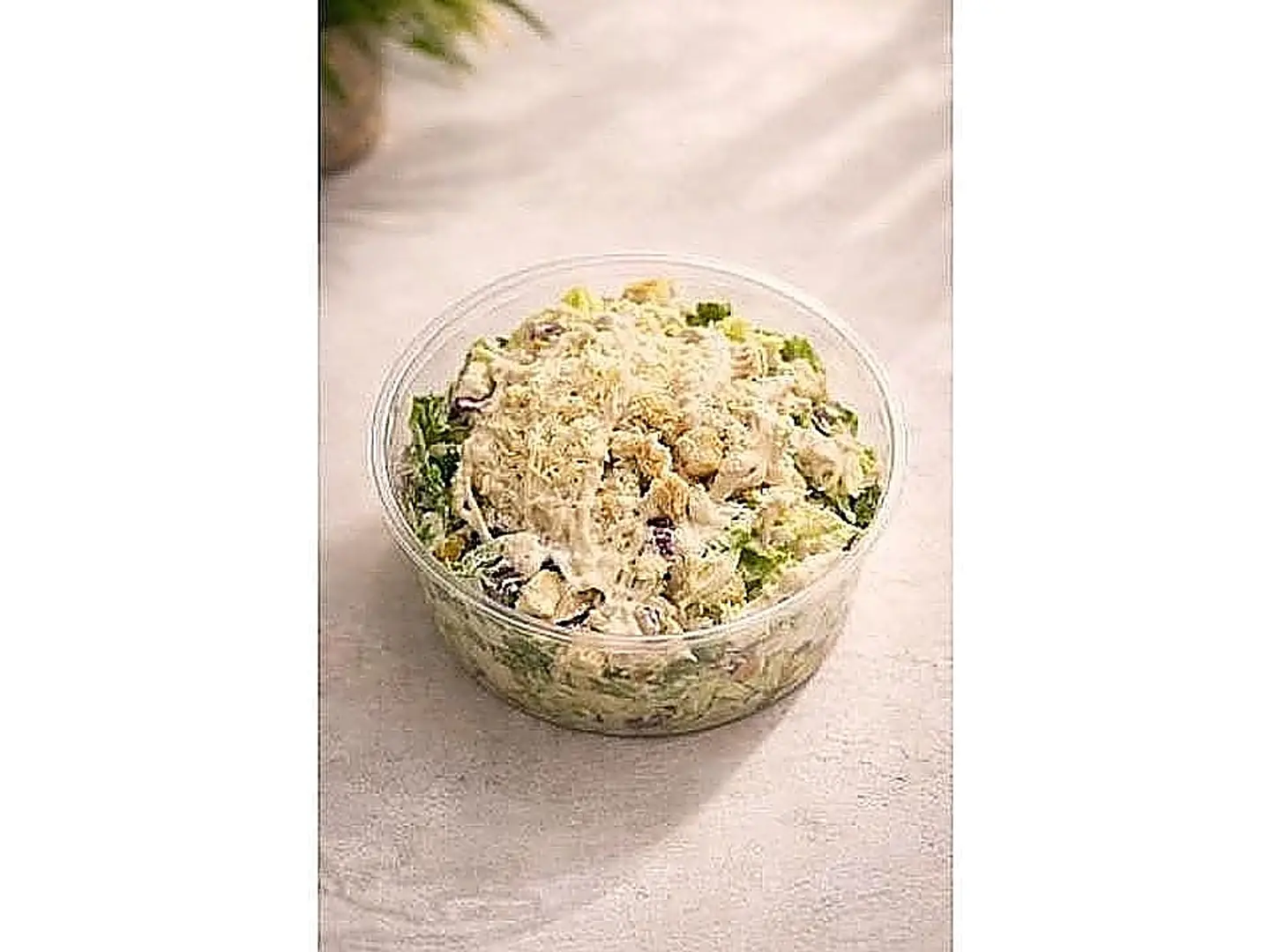 سيزر الدجاج