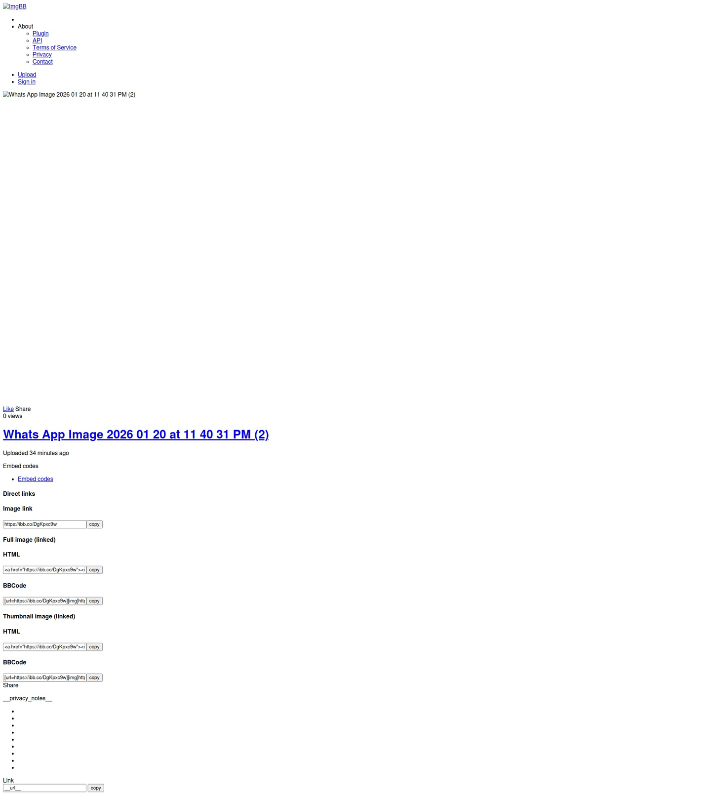 ورد مع لوح تشوكلت بستاني بي 11